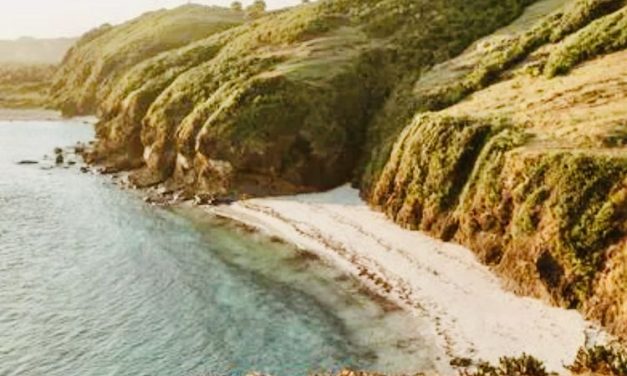 Pemprov NTB Usulkan Bentuk Polisi Pariwisata