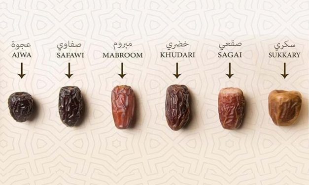 Berbagai Jenis Kurma Dan Ciri Khasnya Dari Seluruh Dunia