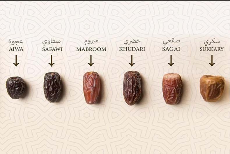 Berbagai Jenis Kurma Dan Ciri Khasnya Dari Seluruh Dunia