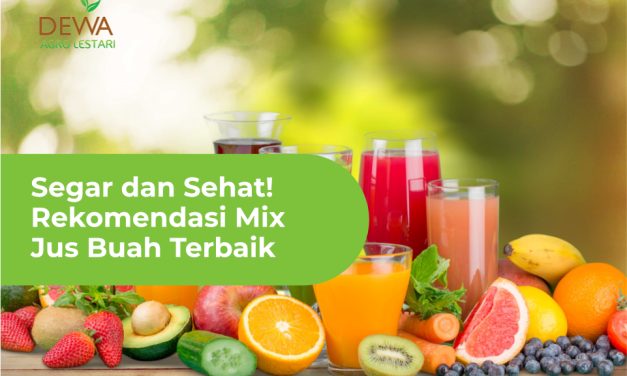 Buah Terbaik Untuk Dijadikan Jus Penambah Energi