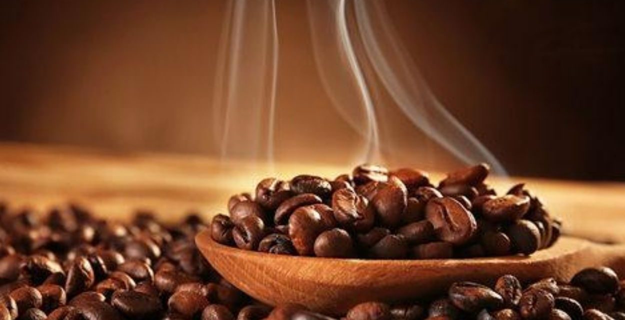 Nikmatnya Kopi Sidikalang Sebagai Oleh-Oleh Khas Sumut