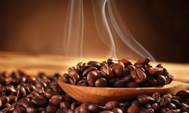 Nikmatnya Kopi Sidikalang Sebagai Oleh-Oleh Khas Sumut