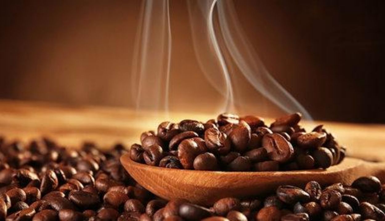 Nikmatnya Kopi Sidikalang Sebagai Oleh-Oleh Khas Sumut