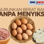 Program Diet Sehat Tanpa Menyiksa Tubuh