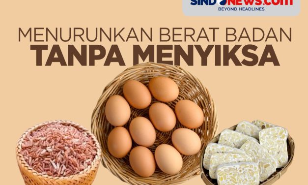Program Diet Sehat Tanpa Menyiksa Tubuh