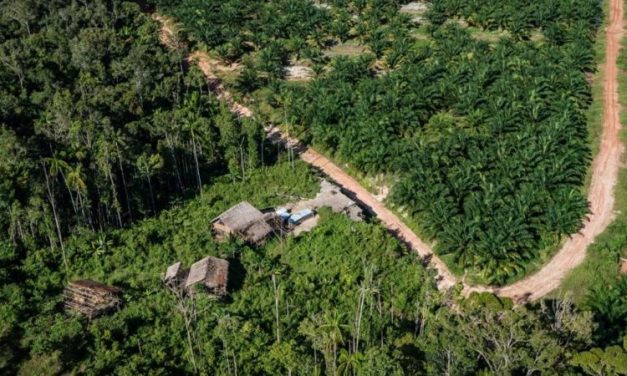 Hutan Sebagai Paru-Paru Dunia: Fakta Dan Tantangannya