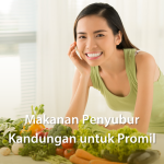 Makanan Untuk Promil: Daftar Nutrisi Yang Mendukung Kesuburan