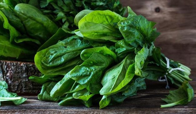 Manfaat Sayur Bayam Dan Sayuran Hijau Untuk Pola Makan Sehat