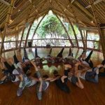 Wisata Wellness Di Bali: Spa, Yoga, Dan Healing Satu Destinasi