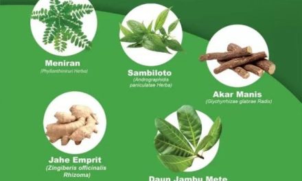 Tumbuhan Obat: Mengenal Tanaman Tradisional Dan Manfaatnya