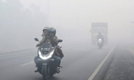 Kerugian Bagi Masyarakat Dan Pelaku Usaha Dampak Kabut Asap