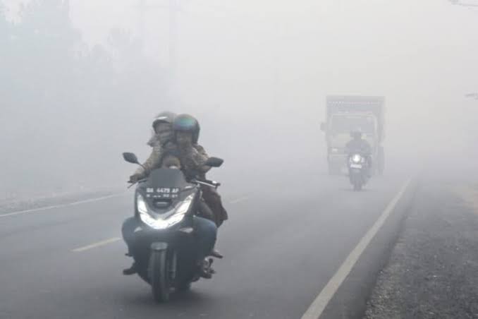 Kerugian Bagi Masyarakat Dan Pelaku Usaha Dampak Kabut Asap