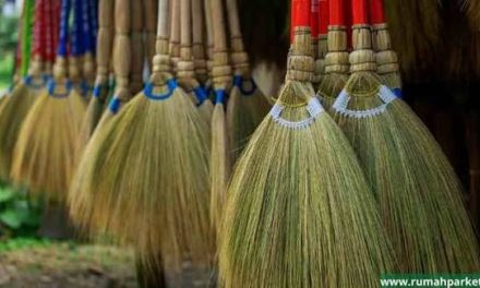 Sapu Rumah: Jenis, Bahan, Dan Cara Memilih Sesuai Kebutuhan